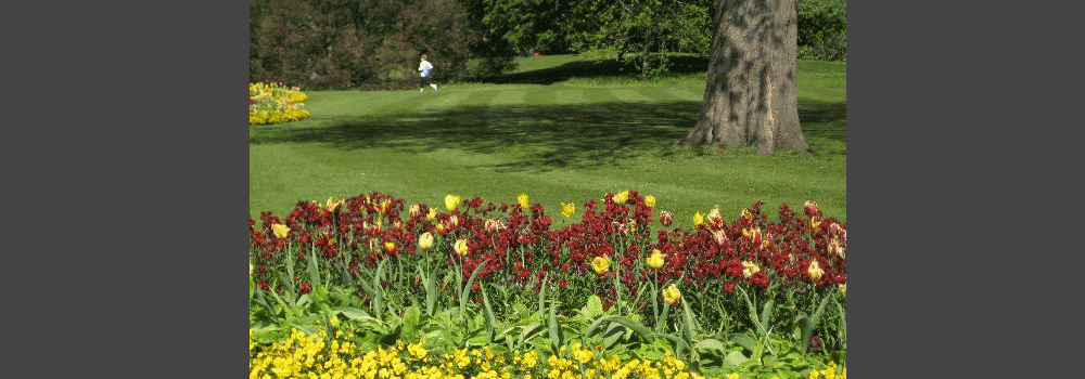 Go Local
